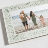 "Winter Greenery" - Holiday Cards in Sage by Amy Payne - Detail