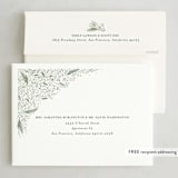 "Winter Greenery" - Holiday Cards in Sage by Amy Payne - FREE Recipient Addressing