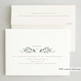 "Foliage Framing" - Holiday Cards in Sage by Petra Kern - FREE Recipient Addressing