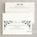 "Tillie" - Holiday Cards in Snow by Kate Ahn - FREE Recipient Addressing