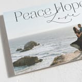 "Peace Hope Love" - Holiday Cards in Coal by Rebecca Durflinger - Detail