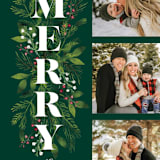 "Merry Boughs" - Holiday Cards in Emerald by Nam Bourassa - Detail