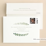 "Cheerful Blessing" - Baptism and Christening Thank You Cards in Lime by Morgan Ramberg - FREE Recipient Addressing