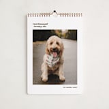 "Vinyl" - Calendars in Espresso by Megan Davis - Cover