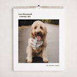 "Vinyl" - Calendars in Espresso by Megan Davis - Cover