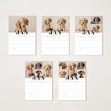 "Bold Classic" - Calendars in Slate by Shirley Lin Schneider - Photo Options