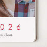 "3 Times the Fun" - Calendars in Ruby by chica design - Detail