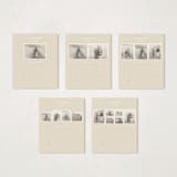 "rosedale" - Calendars in Bisque by Sara Hicks Malone - Photo Options