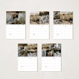 "VHS" - Calendars in Screen by Lea Delaveris - Photo Options