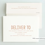"Bday Twins" - Children's Birthday Party Invitations in Creamsicle by Baumbirdy - FREE Recipient Addressing