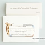 "modern safari" - Children's Birthday Party Invitations in Creamsicle by Rebecca Durflinger - FREE Recipient Addressing