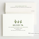 "Let's Fiesta" - Children's Birthday Party Invitations in Sage by Jen Banks - FREE Recipient Addressing