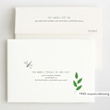 "Let's Roar DInosaur" - Children's Birthday Party Invitations in Forest by melanie mikecz - FREE Recipient Addressing