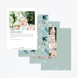 "Three-Rex" - Children's Birthday Party Invitations in Jungle by Cindy Chu - Back of Card Options