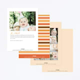 "Wild Lion" - Children's Birthday Party Invitations in Sand by Kacey Kendrick Wagner - Back of Card Options