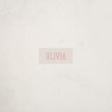 "Big Name" - Custom Name Labels in Flamingo by Ilene Guy - Front