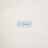 "Disney's Cinderella Fairytale" - Custom Name Labels in Lagoon by Susan Moyal - Front
