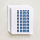 "Toys" - Custom Name Labels in Sky by Dani Lugato - Full Sheet