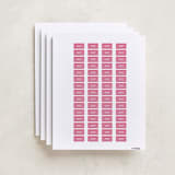 "Friendship Era" - Custom Name Labels in Peony by Pixel and Hank - Full Sheet