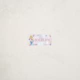 "Disney's Princess Portrait" - Custom Name Labels in Cotton Candy by Cass Loh - Front