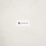 "Sportsy Football" - Custom Name Labels in Crusader by Teju Reval - Front