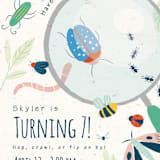 "Buzzing Birthday" - Children's Birthday Party Invitations in Dragonfly by Kiersten Garner - Detail