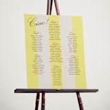 "Campania" - Custom Seating Charts in Limone by Megan Davis - In Use