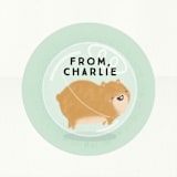 "Hamster Roll" - Custom Stickers in Mint by Itsy Belle Studio - In Use
