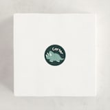 "TriceraTOPS Friend" - Custom Stickers in Everglade by Kacey Kendrick Wagner - In Use