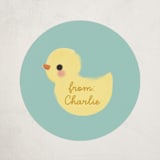 "Lucky duck" - Custom Stickers in Sea by Itsy Belle Studio - Front