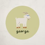 "the goat" - Custom Stickers in Lime by Ellen Schlegelmilch - Front