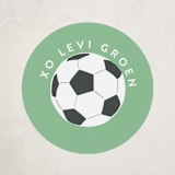 "Soccer Team" - Custom Stickers in Mint by Alethea and Ruth - Front