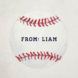 "Painted Baseball" - Custom Stickers in Slate by Holly Whitcomb - Front