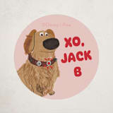 "Disney And Pixar's Dug" - Custom Stickers in Blush by Baumbirdy - Front