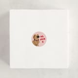 "Disney And Pixar's Dug" - Custom Stickers in Blush by Baumbirdy - In Use