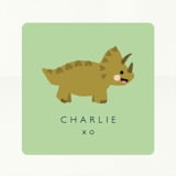 "Roar-some" - Custom Stickers in Fern by Hudson meet Rose - In Use