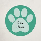 "Pawsitively Awesome" - Custom Stickers in Seafoam by Randi Cirelli - Front