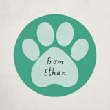 "Pawsitively Awesome" - Custom Stickers in Seafoam by Randi Cirelli - Front