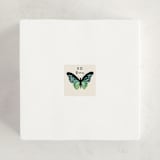 "One of a kind butterfly" - Custom Stickers in Daisy by Alethea and Ruth - In Use