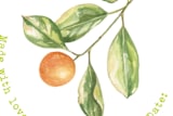 "Kumquat" - Custom Stickers in Leaf by Ava Thomson - In Use