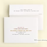 "Flying High" - Children's Birthday Party Thank You Cards in Sky by Annie Holmquist - FREE Recipient Addressing