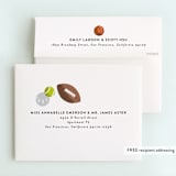 "Have a Ball" - Children's Birthday Party Thank You Cards in Fudge by Alethea and Ruth - FREE Recipient Addressing
