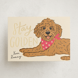 "Stay Golden" - Classroom Valentines in Bubblegum by Lauren Jinhee - Front