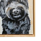 "Painted Dog Portrait, 11x14x.1.5", Commission painting" - Commissioned Original Painting in multicolorassorted-colors by AlisonJerry