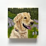 "Mini pet portrait, 5x5", oil painting commission" - Commissioned Original Painting in multicolor by Holly Whitcomb