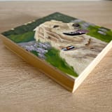 "Mini pet portrait, 5x5", oil painting commission" - Commissioned Original Painting in multicolor by Holly Whitcomb