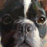 "Figurative Pet Portrait, 11"x14", Painting Commission" - Commissioned Original Painting in multicolorassorted-colors by jinseikou