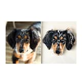 "Custom Pet Portrait, 8x10in., Painting Commission" - Commissioned Original Painting in multicolor by The Pink Parakeet