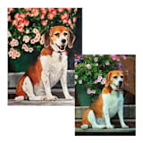 "Painterly Pet Portrait, 11x14", Painting Commission" - Commissioned Original Painting in multicolorassorted-colors by Holly Whitcomb
