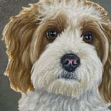 "Oval Canvas Pet Portrait" - Commissioned Original Painting in multicolor by Holton Stokes